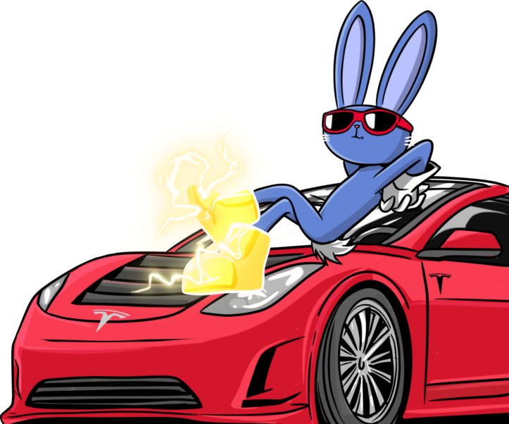 Bunny in Tesla